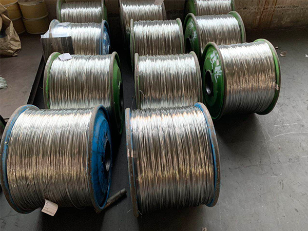 YM-10-TP-015